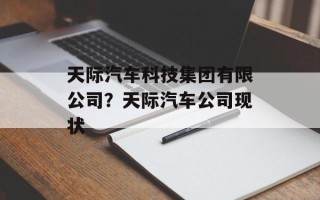 天际汽车科技集团有限公司？天际汽车公司现状