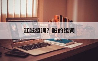 缸脏组词？脏的组词