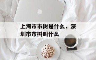 上海市市树是什么，深圳市市树叫什么