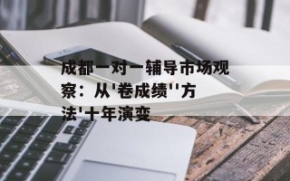 成都一对一辅导市场观察：从'卷成绩''方法'十年演变