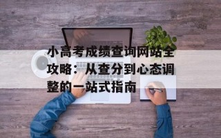 小高考成绩查询网站全攻略：从查分到心态调整的一站式指南
