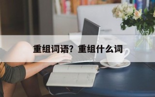 重组词语？重组什么词