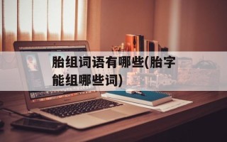 胎组词语有哪些(胎字能组哪些词)