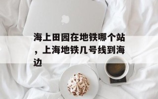 海上田园在地铁哪个站，上海地铁几号线到海边
