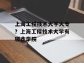 上海工程技术大学大专？上海工程技术大学有哪些学院