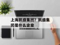 上海凯盛集团？凯盛集团是什么企业