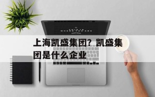 上海凯盛集团？凯盛集团是什么企业