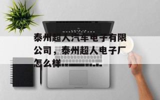 泰州超人汽车电子有限公司，泰州超人电子厂怎么样