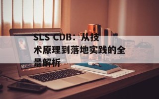 SLS CDB：从技术原理到落地实践的全景解析