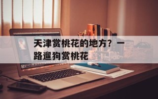 天津赏桃花的地方？一路遛狗赏桃花