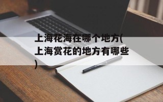 上海花海在哪个地方(上海赏花的地方有哪些)