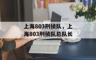 上海803刑侦队，上海803刑侦队总队长