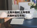 上海大柏树(上海地铁大柏树站几号线)