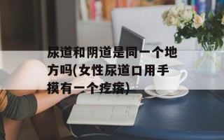 尿道和阴道是同一个地方吗(女性尿道口用手摸有一个疙瘩)