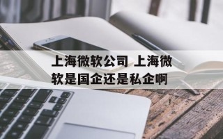 上海微软公司 上海微软是国企还是私企啊