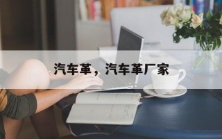 汽车革，汽车革厂家