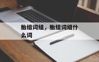 胎组词组，胎组词组什么词