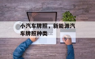 小汽车牌照，新能源汽车牌照种类