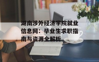 湖南涉外经济学院就业信息网：毕业生求职指南与资源全解析