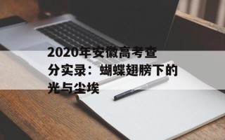 2020年安徽高考查分实录：蝴蝶翅膀下的光与尘埃