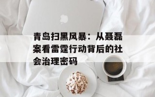 青岛扫黑风暴：从聂磊案看雷霆行动背后的社会治理密码