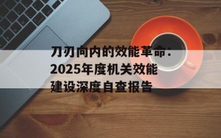 刀刃向内的效能革命：2025年度机关效能建设深度自查报告