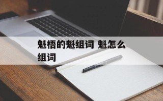 魁梧的魁组词 魁怎么组词