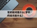 芽的组词是什么(芽字的组词是什么)