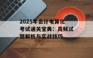 2025年会计电算化考试通关宝典：高频试题解析与实战技巧