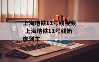 上海地铁11号线视频 上海地铁11号线奶咖列车