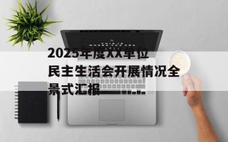 2025年度XX单位民主生活会开展情况全景式汇报