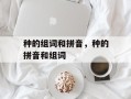 种的组词和拼音，种的拼音和组词