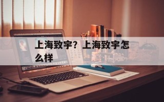 上海致宇？上海致宇怎么样