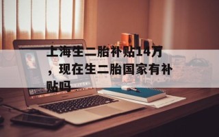 上海生二胎补贴14万，现在生二胎国家有补贴吗