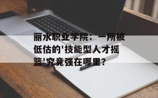 丽水职业学院：一所被低估的'技能型人才摇篮'究竟强在哪里？