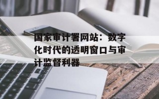 国家审计署网站：数字化时代的透明窗口与审计监督利器