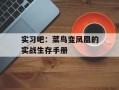 实习吧：菜鸟变凤凰的实战生存手册