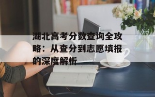 湖北高考分数查询全攻略：从查分到志愿填报的深度解析