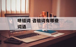 哜组词 咨组词有哪些词语
