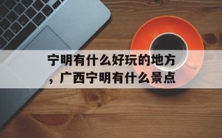 宁明有什么好玩的地方，广西宁明有什么景点
