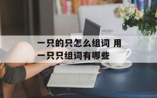 一只的只怎么组词 用一只只组词有哪些