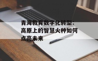 青海教育数字化转型：高原上的智慧火种如何点亮未来