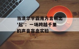 当清华学霸用方言喊出'起'：一场跨越千里的声音盲盒实验