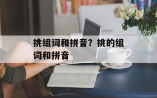 挑组词和拼音？挑的组词和拼音