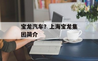 宝龙汽车？上海宝龙集团简介