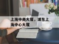 上海中央大厦，浦东上海中心大厦