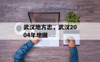武汉地方志，武汉2004年地图