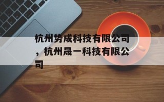 杭州势成科技有限公司，杭州晟一科技有限公司