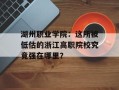 湖州职业学院：这所被低估的浙江高职院校究竟强在哪里？