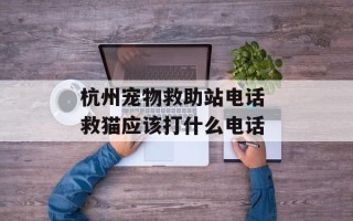 杭州宠物救助站电话 救猫应该打什么电话